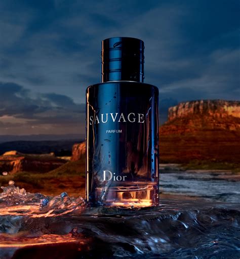 pheromone dior sauvage|sauvage by dior cologne.